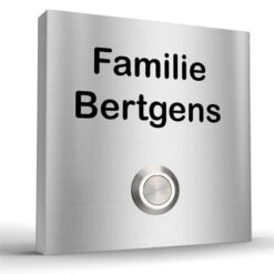 Edelstahl Aufputz Türklingel 100x100mm Mit LED Taster Merkur2