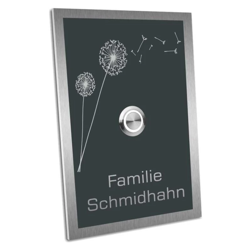 Türklingel Edelstahl 110x160mm Anthrazit RAL 7016 Klingelschild 3 Türklingel Edelstahl 110x160mm Anthrazit RAL 7016 Klingelschild