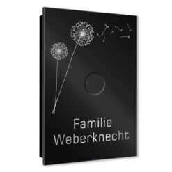 Ultraflache Aufputz Funkklingel Edelstahl 110x160mm Pusteblume RW 400m 52 Melodien -Hochwertiger Türklingelladen ultraflache aufputz funkklingel edelstahl 110x160mm pusteblume rw 400m 52 melodien3