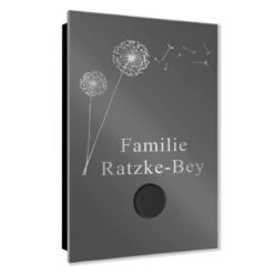 Ultraflache Aufputz Funkklingel Edelstahl 110x160mm RW 400m 52 Melodien Pusteblume 10 Ultraflache Aufputz Funkklingel Edelstahl 110x160mm RW 400m 52 Melodien Pusteblume -Hochwertiger Türklingelladen ultraflache aufputz funkklingel edelstahl 110x160mm rw 400m 52 melodien pusteblume4