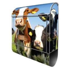 Wandbriefkasten Briefkasten Edelstahl Kühe